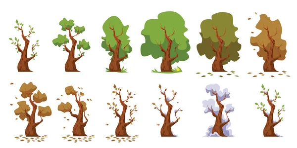 Tree Seasonal Changes Cycle Infographic Set Flat Vector Illustration Isolated — Stockový vektor