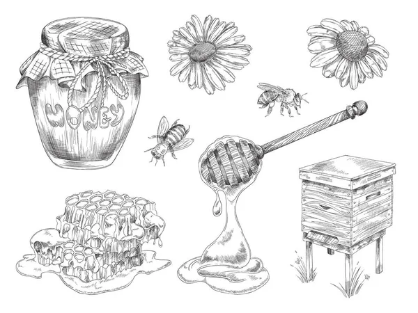 Honey Production Apiary Items Set Hand Drawn Engraving Vector Illustration — 图库矢量图片