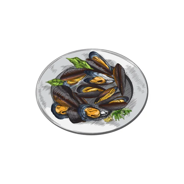 Μύδι Μύδι Όστρακα Στο Πιάτο Ζωγραφισμένο Στο Χέρι Vintage Εικόνα — Διανυσματικό Αρχείο
