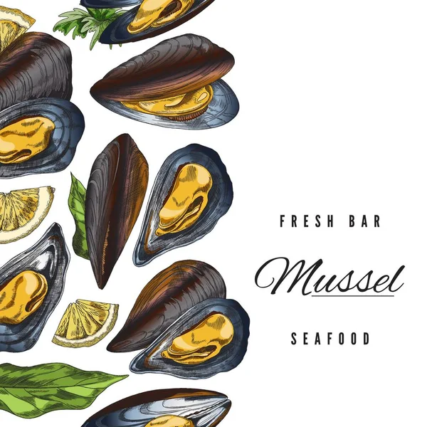 Square Banner Poster Restaurant Menu Cover Fresh Mussels Hand Drawn —  Vetores de Stock