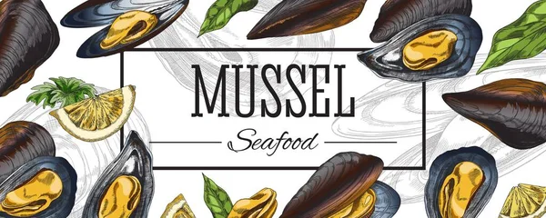 Mussel Banner Menu Template Hand Drawn Colorful Vector Illustration Seafood — ストックベクタ