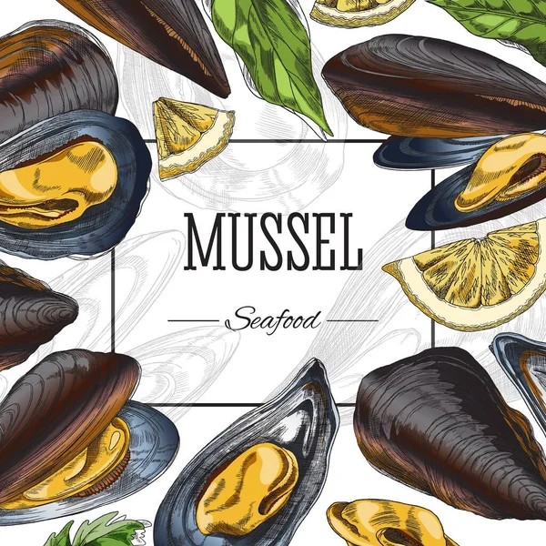 Mussels Seafood Square Banner Menu Cover Layout Hand Drawn Sketch —  Vetores de Stock