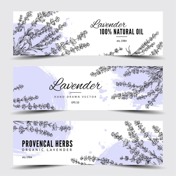 Lavender Provencal Herbs Aromatic Flower Hand Drawn Banners Flyers Set — Stockvector