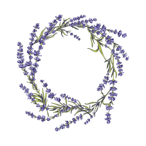 Flower Wreath Fresh Provence Lavender Colored Hand Drawn Vector Illustration — Wektor stockowy