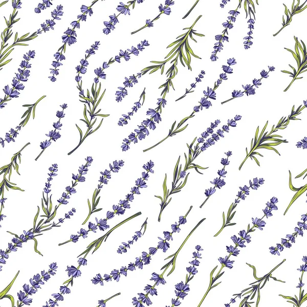 Lavender Seamless Floral Pattern Hand Drawn Sketch Vector Illustration White — 图库矢量图片