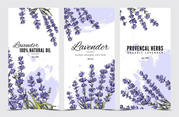 Lavender Flowers Natural Oil Posters Set Hand Drawn Sketch Style — Stok Vektör