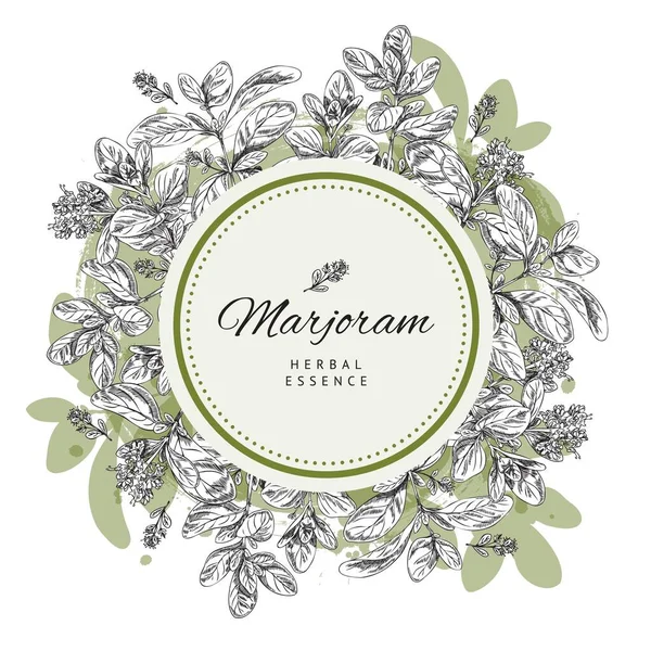 Marjoram Herbal Essence Decorative Frame Botanical Backdrop Product Label Spices — vektorikuva