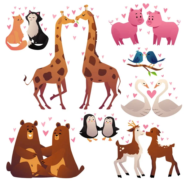 Cute Animal Couples Set Cartoon Flat Vector Illustration Isolated White — Vetor de Stock