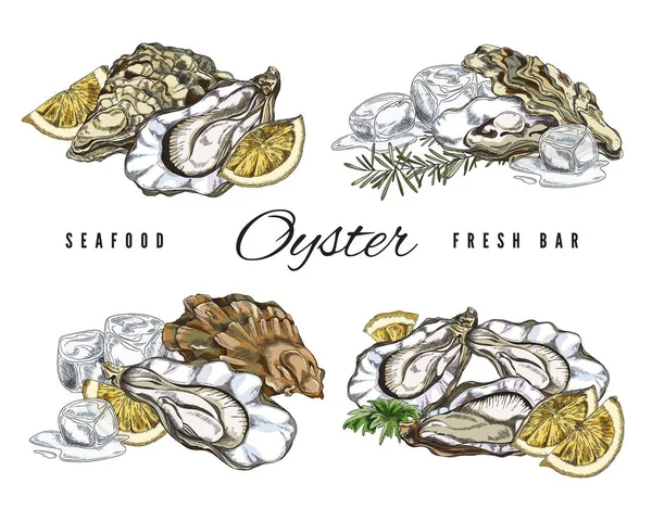 Seashell Oyster Serving Ingredients Sketch Vector Illustration Isolated White Background — Stockvector