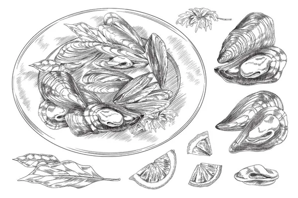 Mussel Seafood Dish Ingredients Plate Single Hand Drawn Images Set — Vector de stock