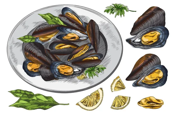 Mussels Delicious Restaurant Meal Lemon Herbs Hand Drawn Sketch Style — Archivo Imágenes Vectoriales