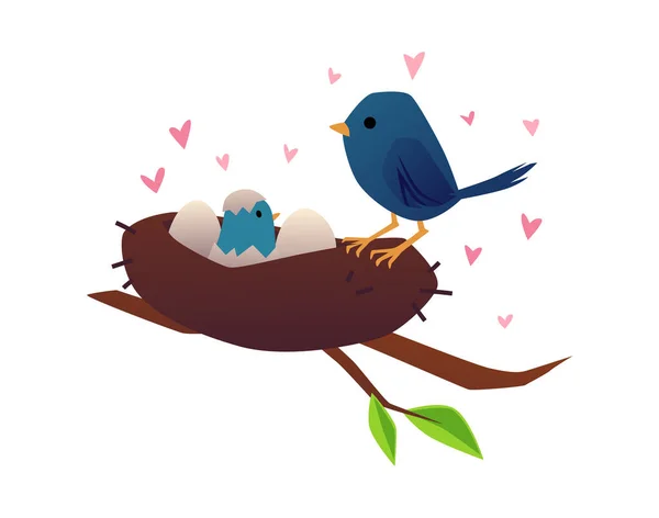 Mother Bird Nest Chick Eggs Flat Cartoon Vector Illustration Isolated — Stockvector