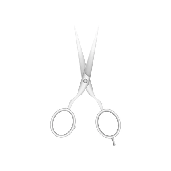 Stainless steel professional hairdresser scissors Vector Image