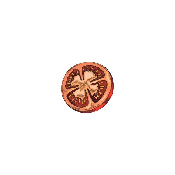 Met Hand Getekend Rood Plakje Tomatenschets Stijl Vectorillustratie Geïsoleerd Witte — Stockvector