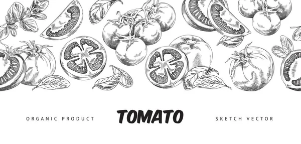 Horizontales Banner Mit Handgezeichneten Monochromen Verschiedenen Tomaten Und Blättern Skizzenstil — Stockvektor