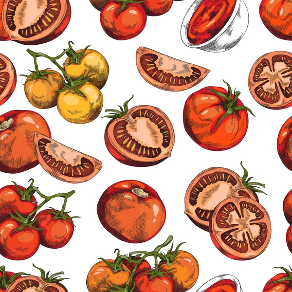 Patrón Colorido Sin Costuras Con Varios Tomates Dibujado Mano Ilustración — Archivo Imágenes Vectoriales