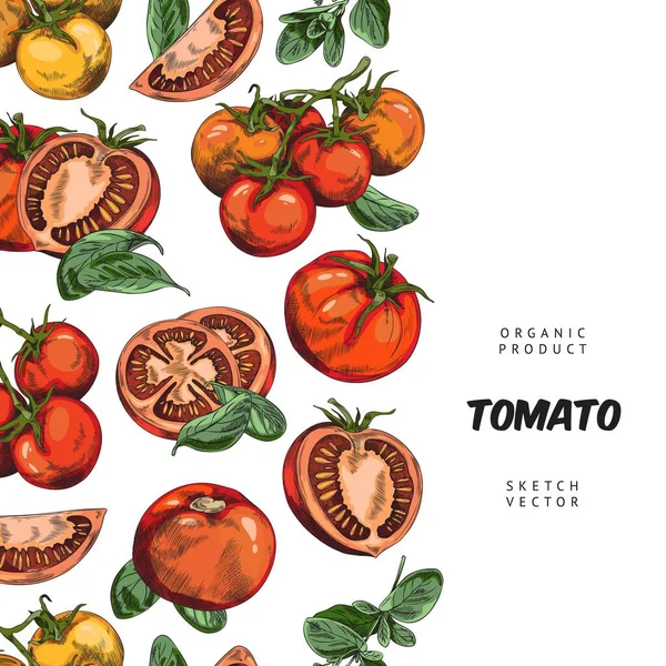 Banner Met Hand Getekende Verschillende Tomaten Biologische Product Schets Stijl — Stockvector