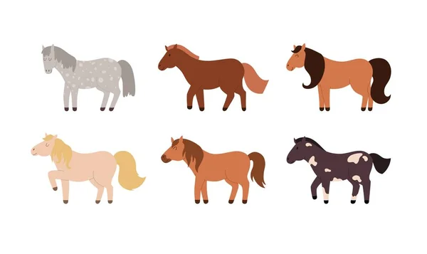 Conjunto Cavalos Bonitos Conjunto Pôneis Raça Cor Diferentes Ilustração Vetorial —  Vetores de Stock
