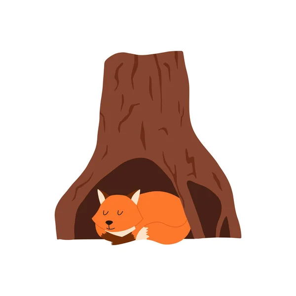 フォックスは 白い背景に中空の木 ベクトルフラットイラストに座っている 木の幹にキツネの家 ホロウの狐 — ストックベクタ