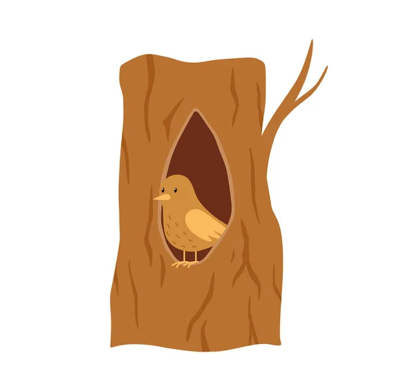 Bird Está Sentado Árbol Hueco Ilustración Plana Vectorial Sobre Fondo — Vector de stock