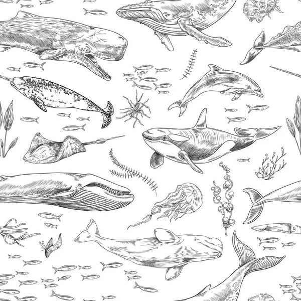 Balık Deniz Hayvanlarıyla Kusursuz Desenli Dekoratif Arka Plan Beyaz Arka — Stok Vektör
