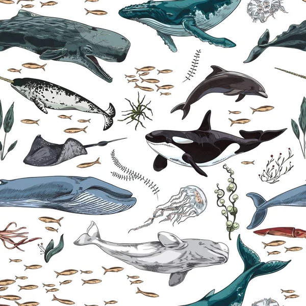 Memelilerin Deniz Hayvanlarında Kusursuz Desen Beyaz Arka Planda Düz Çizgi — Stok Vektör