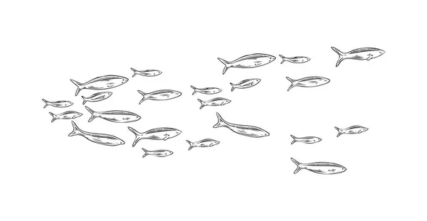Escola Marinha Desenhada Mão Estilo Esboço Peixe Ilustração Vetorial Isolada —  Vetores de Stock