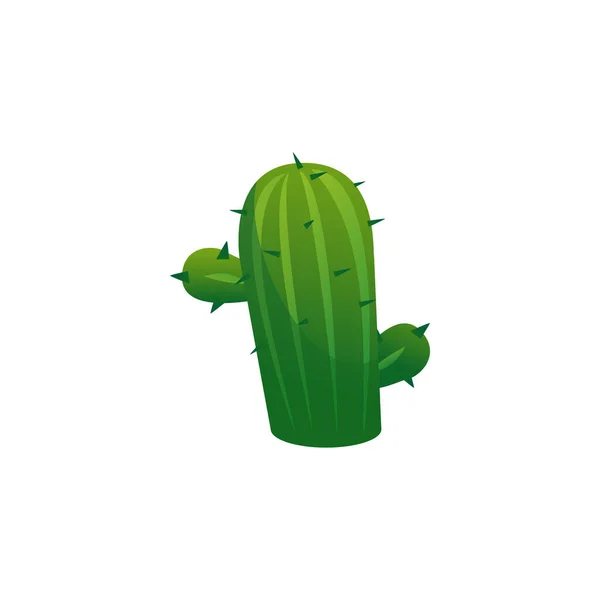 Cactus Succulent Plant Cartoon Flat Vector Illustration Isolated White Background - Stok Vektor