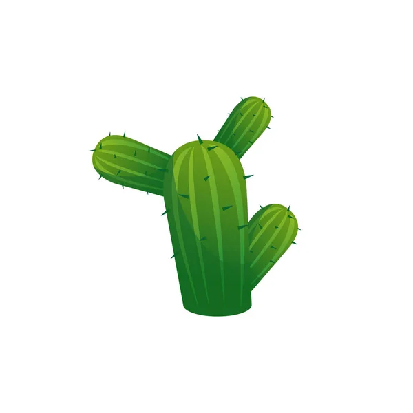 Cartoon Mexican Cactus Sharp Spikes Flat Vector Illustration Isolated White —  Vetores de Stock