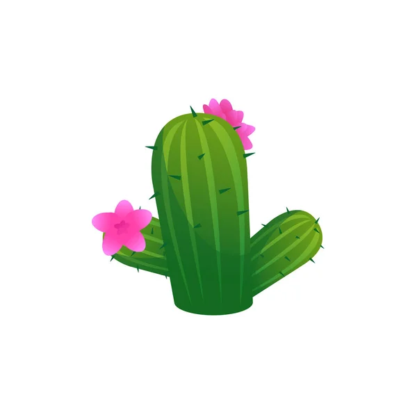 Green Prickly Desert Cactus Cute Pink Flowers Flat Style Vector - Stok Vektor