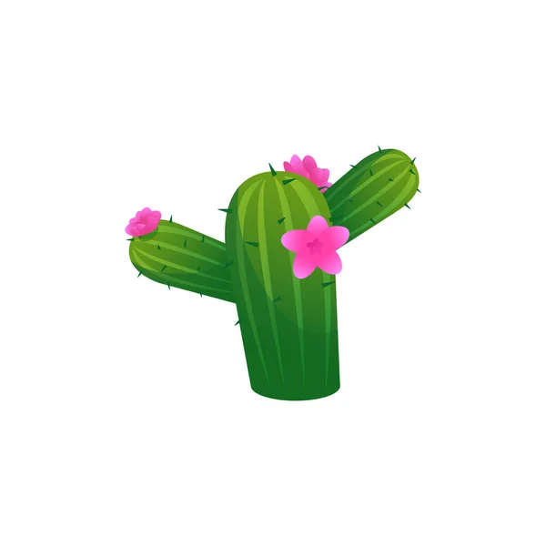 Cartoon Blossoming Cactus Plant Spikes Flat Vector Illustration Isolated White - Stok Vektor