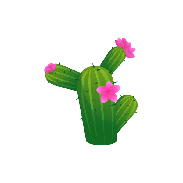 Green Blooming Cactus Pink Gradient Flowers Flat Style Vector Illustration - Stok Vektor