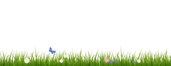 Grönt Gräs Gräns Med Blå Fjäril Och Färgglada Blommor Platt — Stock vektor