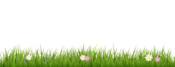 Sömlös Grönt Gräs Gräns Med Olika Färgglada Blommor Platt Stil — Stock vektor