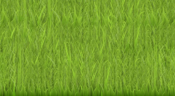 Grüner Grasrand Flach Vektorillustration Dekoratives Gestaltungselement Für Hintergrund Tapete Natur — Stockvektor
