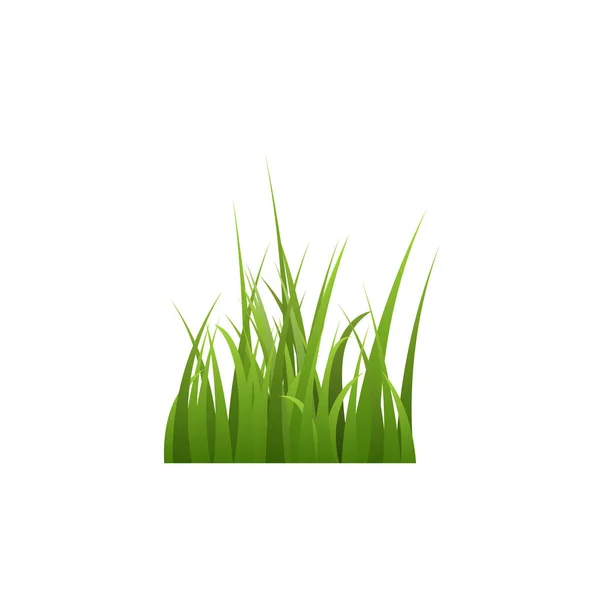 Hromada Zelené Trávy Bylin Realistické Vektorové Ilustrace Izolované Bílém Pozadí — Stockový vektor