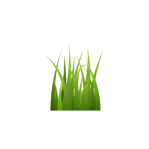 Летний Зеленый Свежий Луг Луг Травы Травяные Растения Шаблон Декоративных — стоковый вектор