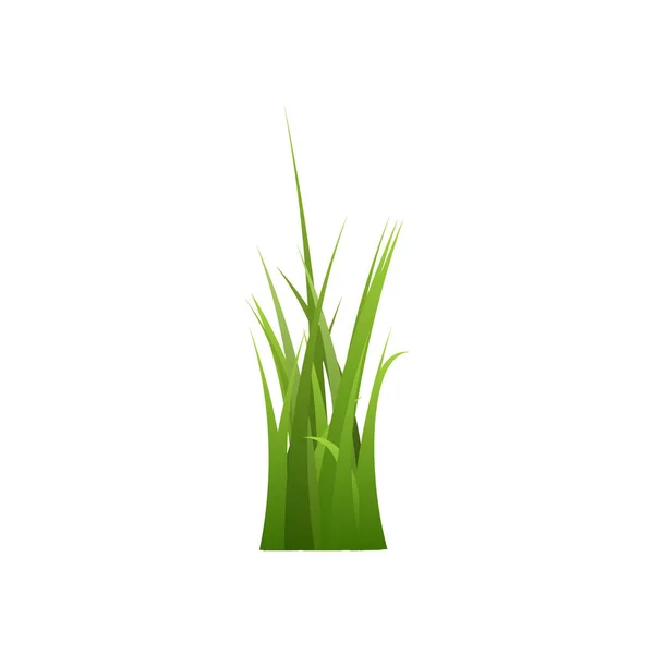 異なる長さの緑の芝生の束フラットスタイル 白い背景に隔離されたベクトルイラスト 新鮮な草のアイコンのブッシュ 自然デザイン要素 — ストックベクタ