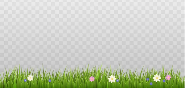 Seamless Grass Border Spring Flowers Realistic Flat Vector Illustration Transparent — Stock Vector