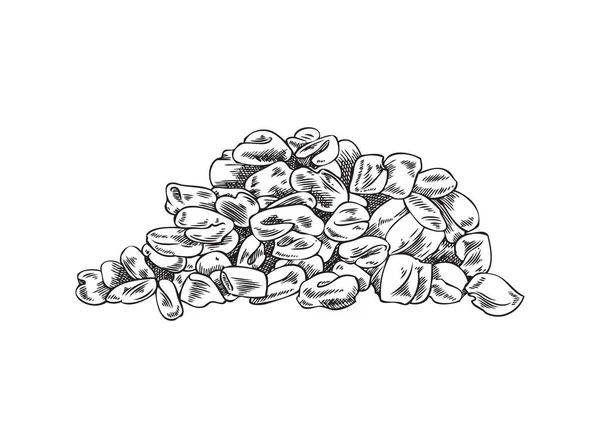 Handgezeichneter Haufen Bockshornkleesamen Monochrom Skizzierte Vektorillustration Isoliert Auf Weißem Hintergrund — Stockvektor