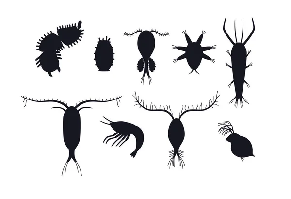 動物プランクトンの黒いシルエットセット 白い背景に隔離された平らなベクトルイラスト 微視的なプランクトンの収集 水中生活の住民 海と淡水 — ストックベクタ