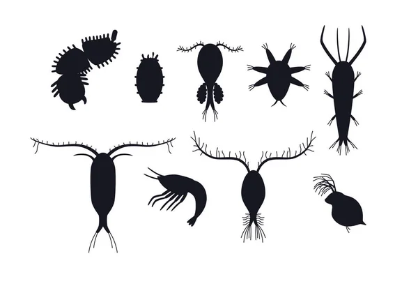 Set Siluet Hitam Zooplankton Ilustrasi Vektor Datar Diisolasi Pada Latar - Stok Vektor