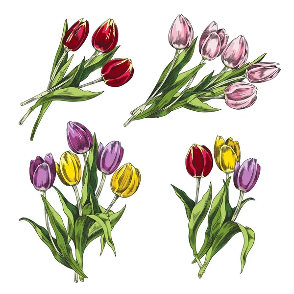 Set Colorati Mazzi Tulipani Disegnati Mano Stile Schizzo Illustrazione Vettoriale — Vettoriale Stock
