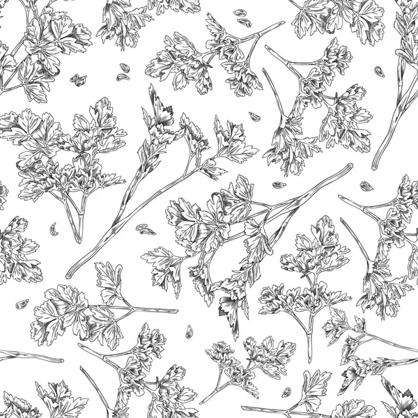 Texture Motif Botanique Sans Couture Persil Illustration Vectorielle Croquis Dessinée — Image vectorielle