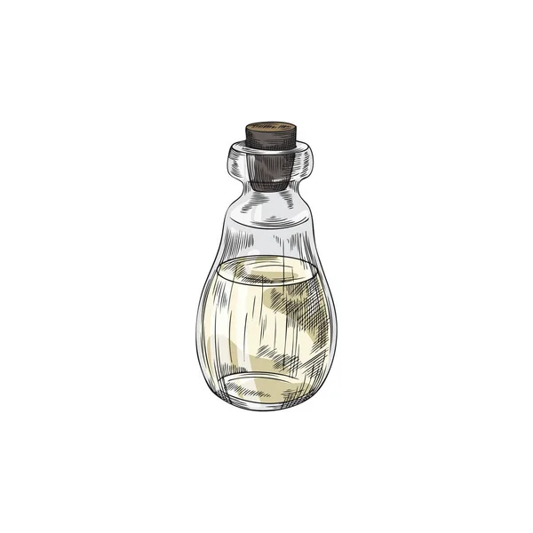 Aromatische Kokende Olie Fles Met Hand Getekend Graveren Stijl Vector — Stockvector
