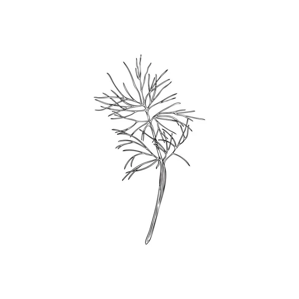单色灌丛分枝与叶 轮廓涂鸦矢量分离在白色背景 手绘草图 烹调和食品调料的概念 — 图库矢量图片
