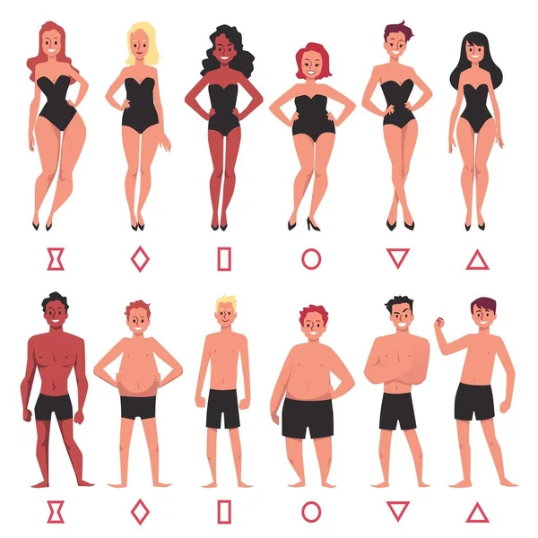 Tipos Corpo Humano Figuras Femininas Masculinas Conjunto Ilustração Vetorial Plana —  Vetores de Stock