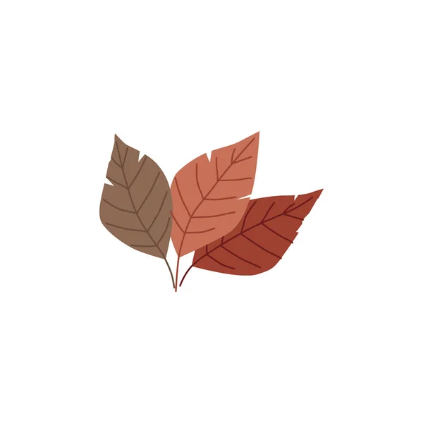 Φύλλα Φθινοπώρου Επίπεδη Διανυσματική Απεικόνιση Απομονωμένη Λευκό Φόντο Κόκκινα Και — Διανυσματικό Αρχείο