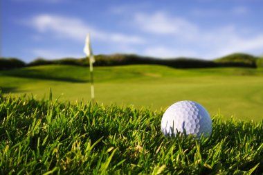 bir golf topu