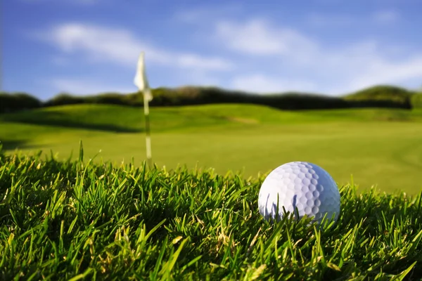 Golfboll i en kurs Royaltyfria Stockbilder